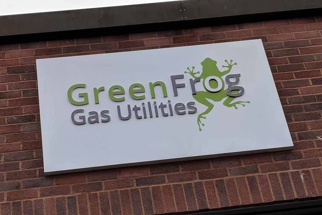 green frog sign
