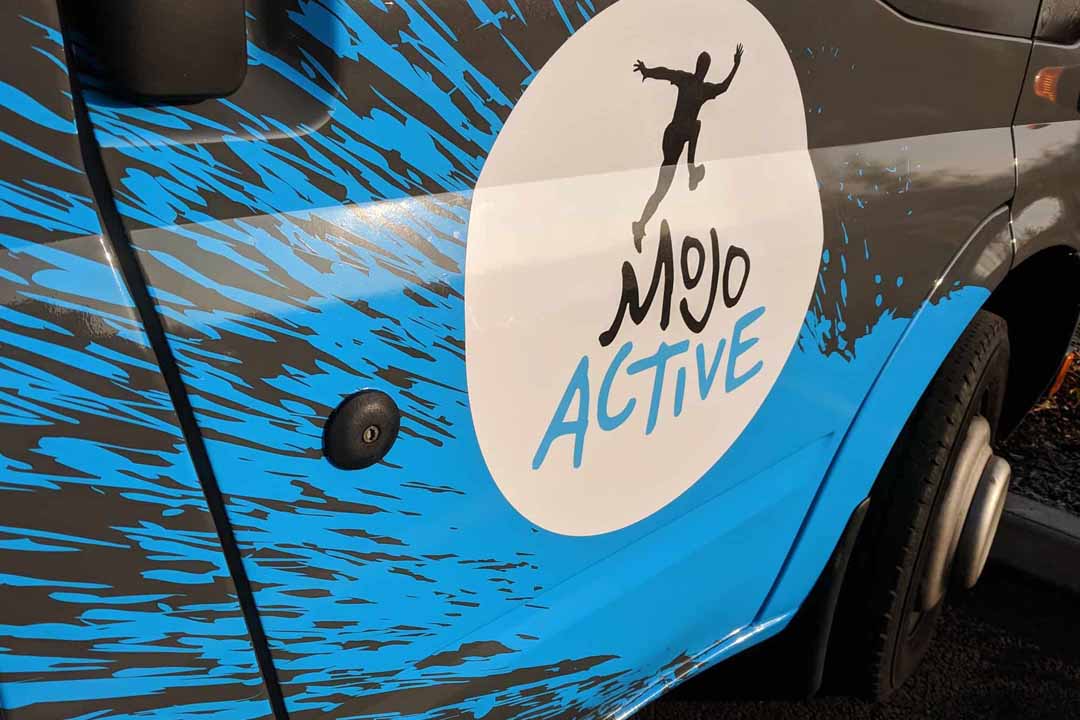 blue van signs